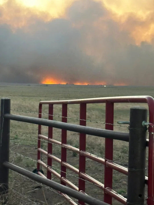 Wildfire near Ashland