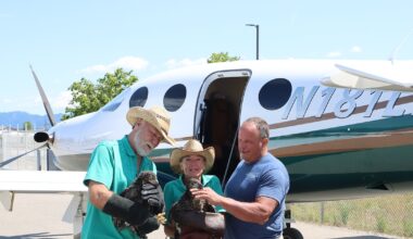 Injured baby bald eagles recovering at Birds of Prey