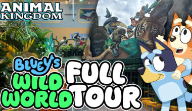 FULL TOUR: Bluey's Wild World Celebrates All Things Bluey at Disney's Animal Kingdom