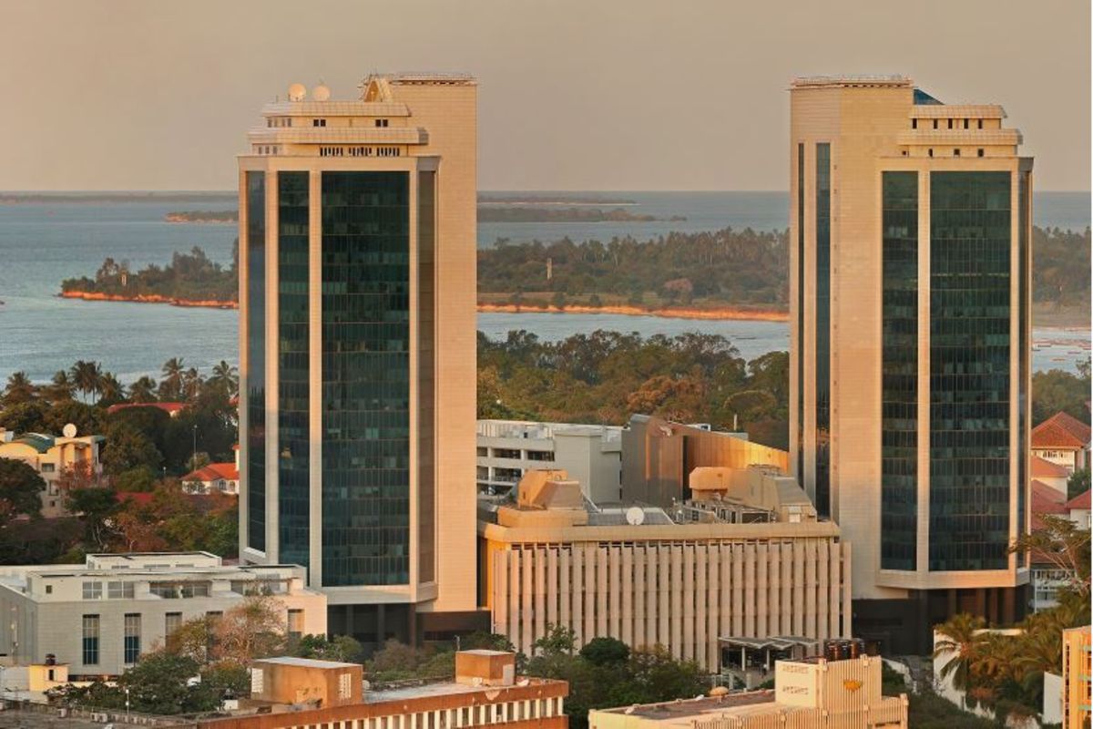 Tanzania urged to boost entrepreneurship financing to curb unemployment crisis