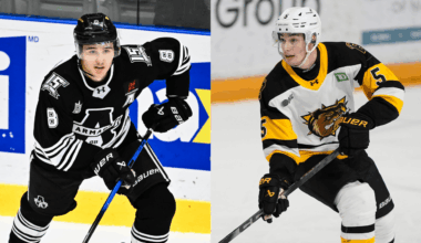 Carbonneau, Jiricek join Springfield for postseason