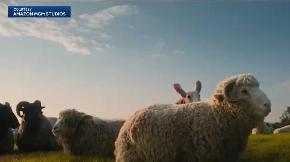 Flicks Picks with Milwaukee Film: 'The Sheep Detectives'