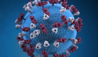 Suspected and confirmed measles deaths top 500 in Bangladesh
