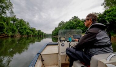 Atlanta metro downpour leads to massive fish kill on the Chattahoochee River