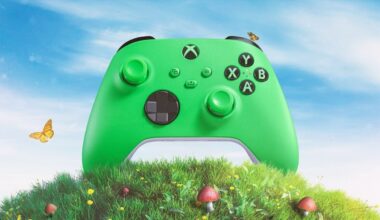 A green Xbox controller sits on a hill.