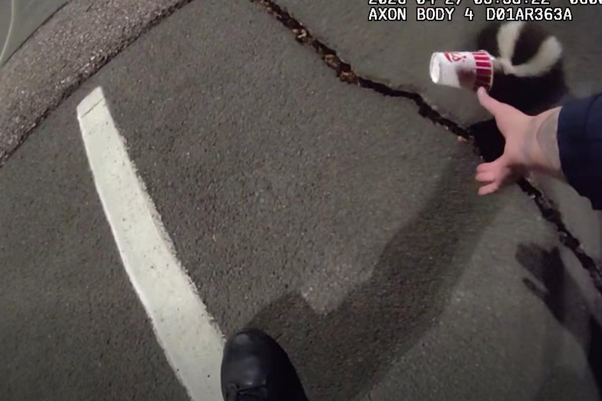 Colorado police help unlucky skunk stuck in a cup