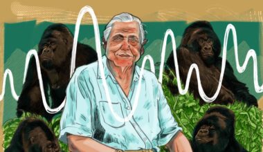 David Attenborough and the Voice That Revealed a Planet