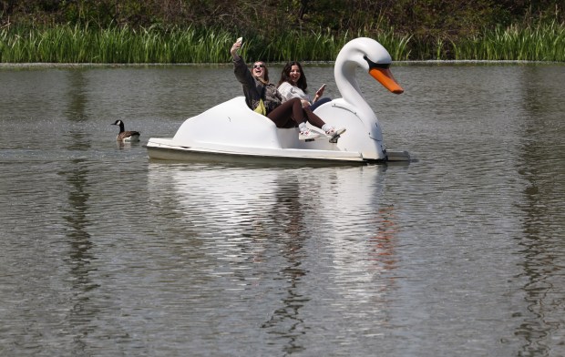 Two people take pictures while renting a swan pedal boat at the Humboldt Park Lagoon Saturday, May 2, 2026, in Chicago. (John J. Kim/Chicago Tribune)