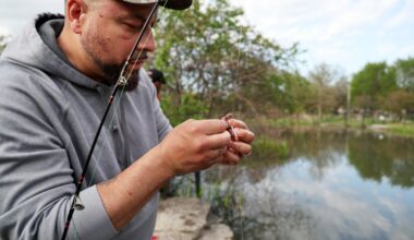 Anglers hope fish, swan boats can coexist