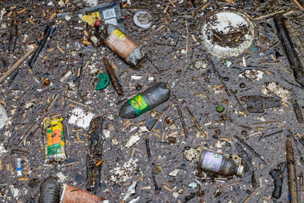 Plastic and other trash collected by a boom along a creek that drains into Lake Erie, May 1, 2026, in Erie, Pennsylvania. (Brian Cassella/Chicago Tribune)