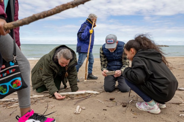 Sherri Mason, a Gannon University researcher, and David Masur, executive director of PennEnvironment, lead a group of volunteers to find plastic pellets, pieces no larger than a grain of rice, washed up on the Lake Erie beachfront on May 2, 2026, along Presque Isle State Park in Erie, Pennsylvania. (Brian Cassella/Chicago Tribune)