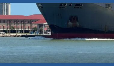 Dolphins delight onlookers in front of a huge ship near Pelican Island in Galveston