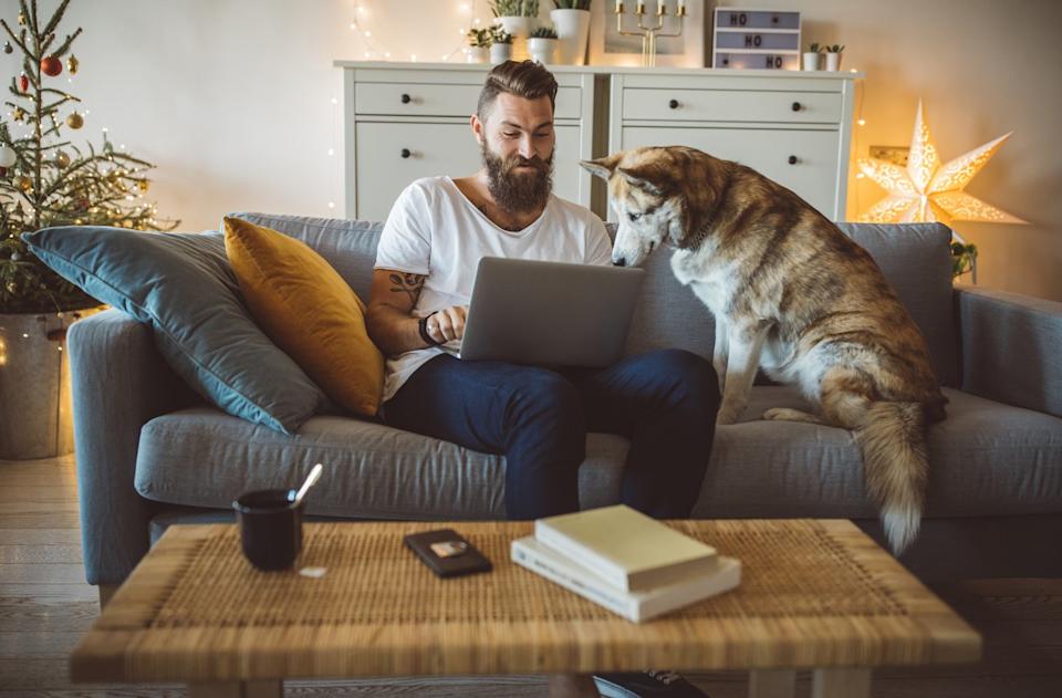 A person and their dog looks at a laptop.