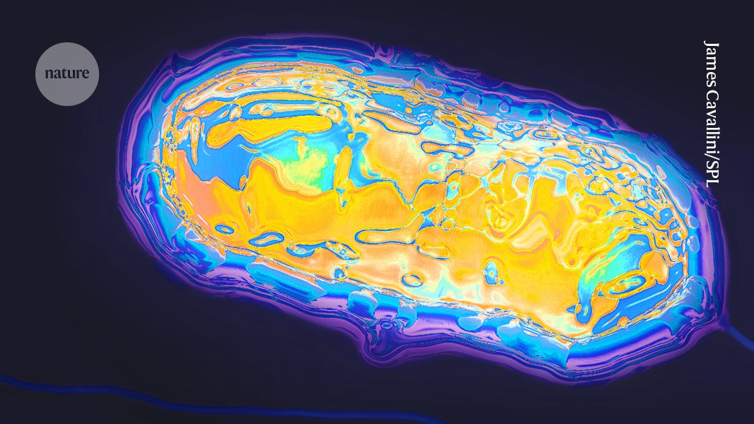All life runs on 20 amino acids. These cells run key machinery on just 19