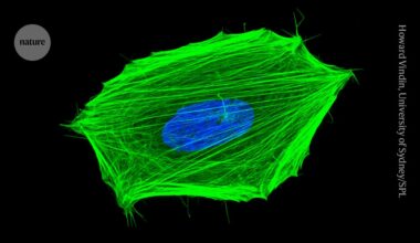 Quantum ‘thermometer’ takes temperatures inside living cancer cells