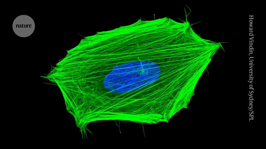 Quantum ‘thermometer’ takes temperatures inside living cancer cells