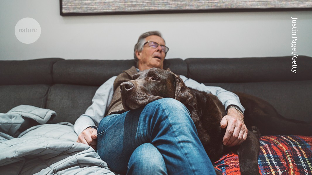 Sleep linked to slower ageing: huge study pinpoints the right amount