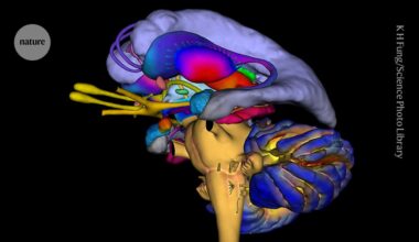 Stress impairs your brain’s ability to link memories — dampening insight