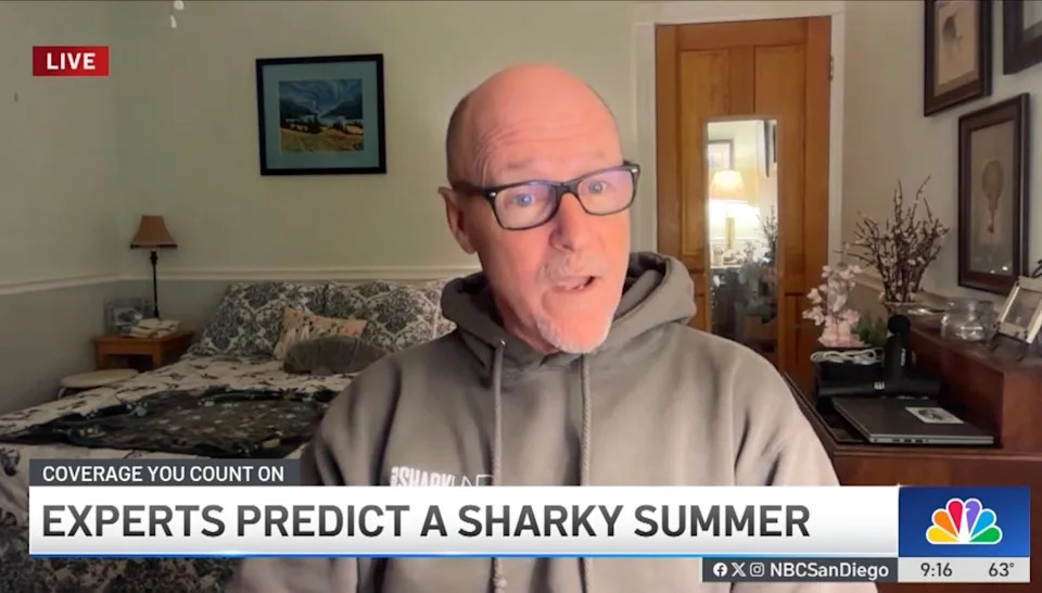 “White sharks are actually really good meteorologists,” Lowe told NBC San Diego. NBC SAN DIEGO