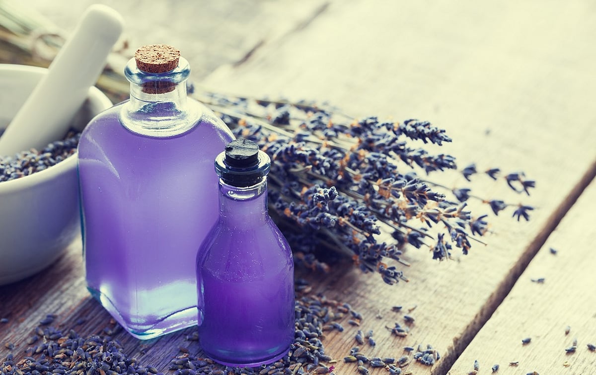 Nature in a Bottle: How Essential Oils Are Powering a Greener, Sustainable Future