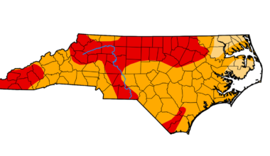 Rain brings slight 2026 drought relief to Charlotte region
