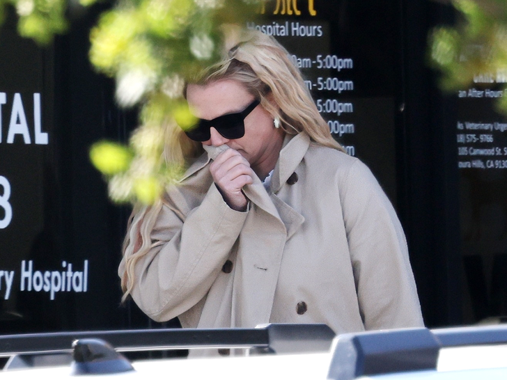 main britney spears backgrid