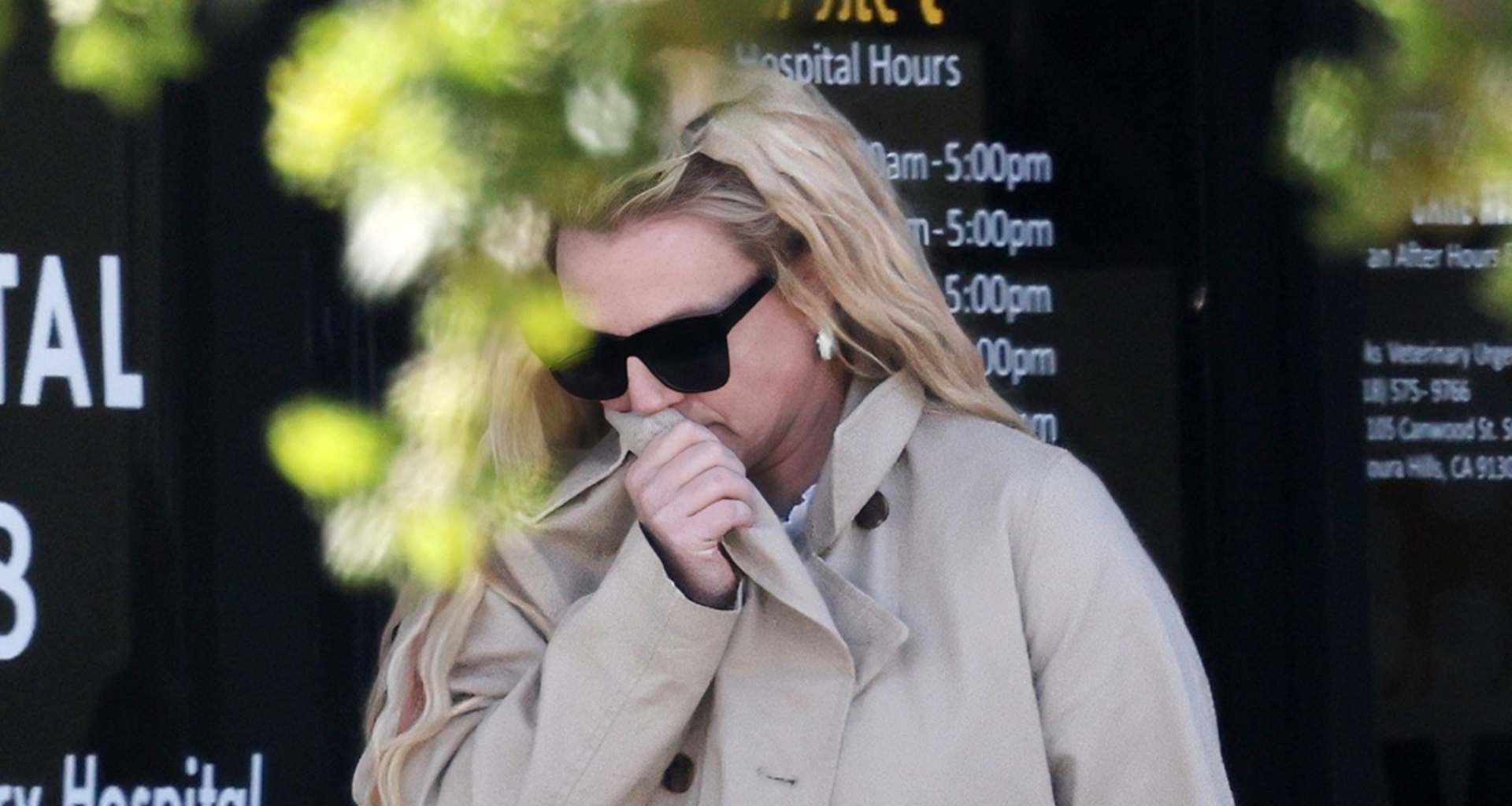 Britney Spears Spotted for First Time Since Restaurant Meltdown