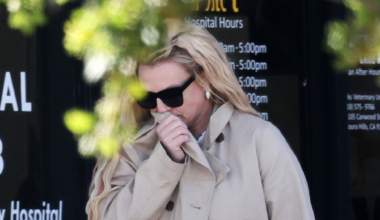 Britney Spears Spotted for First Time Since Restaurant Meltdown