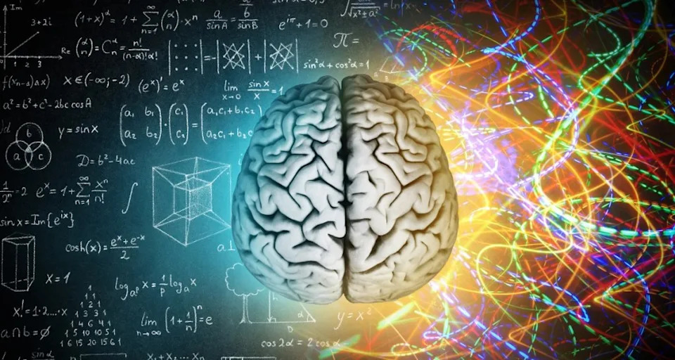 biology, human evolution, science