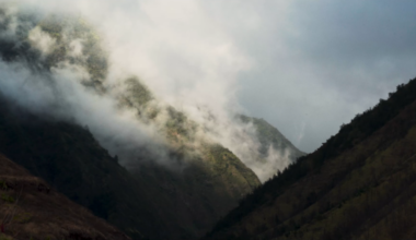 ‘EA (SOVEREIGN)’ brings Lahaina land struggle to global stage at imagineNATIVE : Maui Now