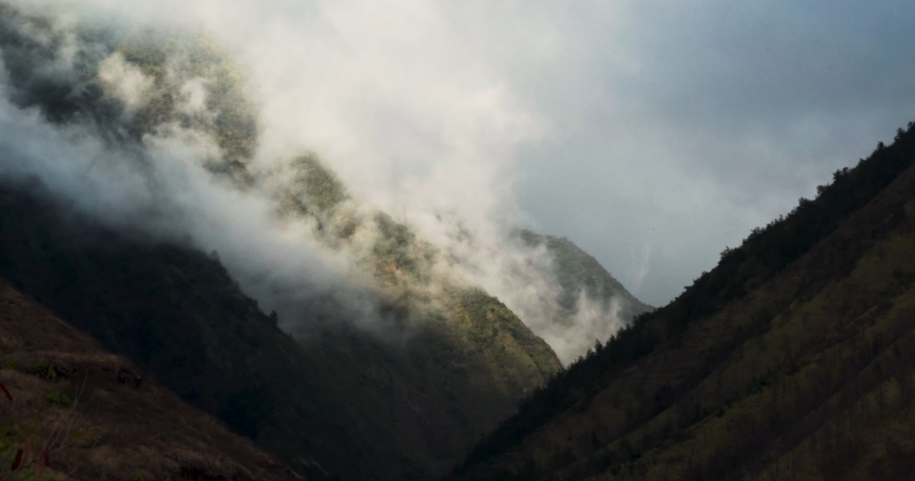 ‘EA (SOVEREIGN)’ brings Lahaina land struggle to global stage at imagineNATIVE : Maui Now