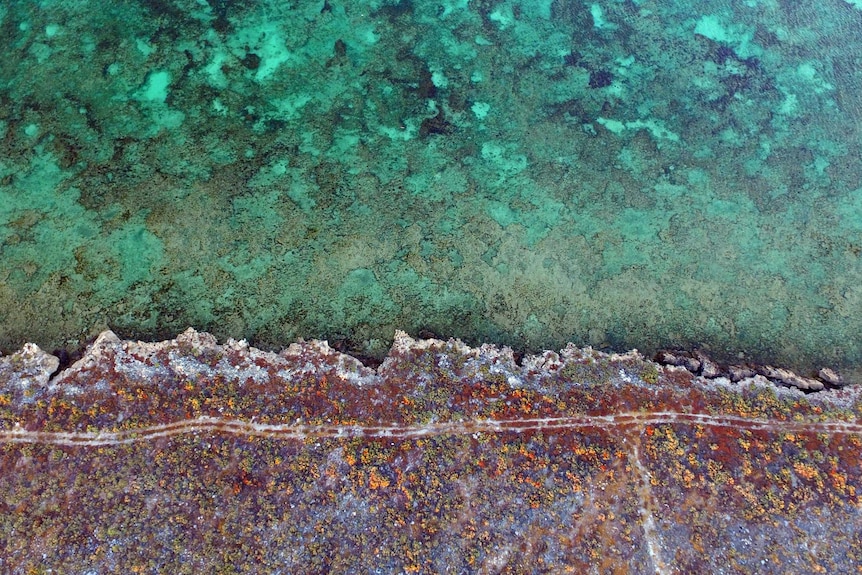 An island and coral reef, as seen from above.