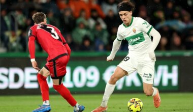 Hector Fort of Elche
