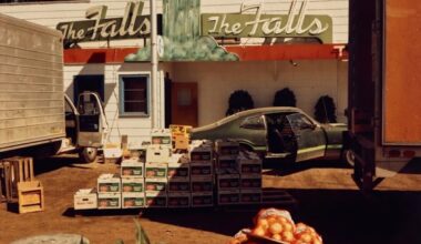 Virginia Museum of Fine Arts gifted collection of nearly 2,000 photographs - The Art Newspaper