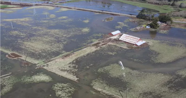 Water Board Tosses HRC's Proposed Regulation Changes for Elk River Because Sediment Levels Are Not Improving | Lost Coast Outpost