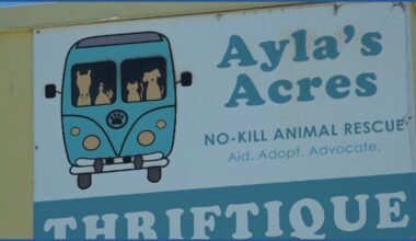 Ayla's Acres to break ground on 10,000 sf animal resource center in St. Johns County