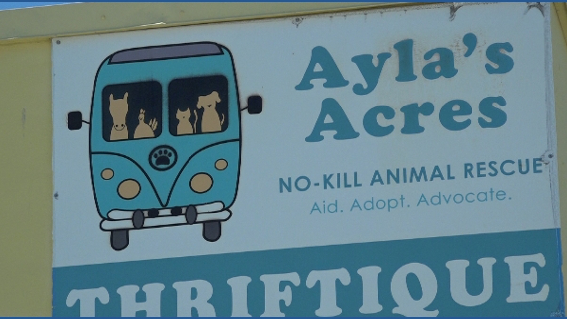 Ayla's Acres to break ground on 10,000 sf animal resource center in St. Johns County
