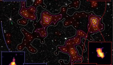The Loktak protocluster region that lies some 12.6 billion light-years away. It shows how early cluster environments influence the evolution of young member galaxies. Credit: Laishram et al./NAOJ/NASA/ESA/CSA