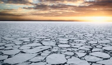 Antarctic sea ice defied global warming for decades – now, hidden ocean heat is breaking through