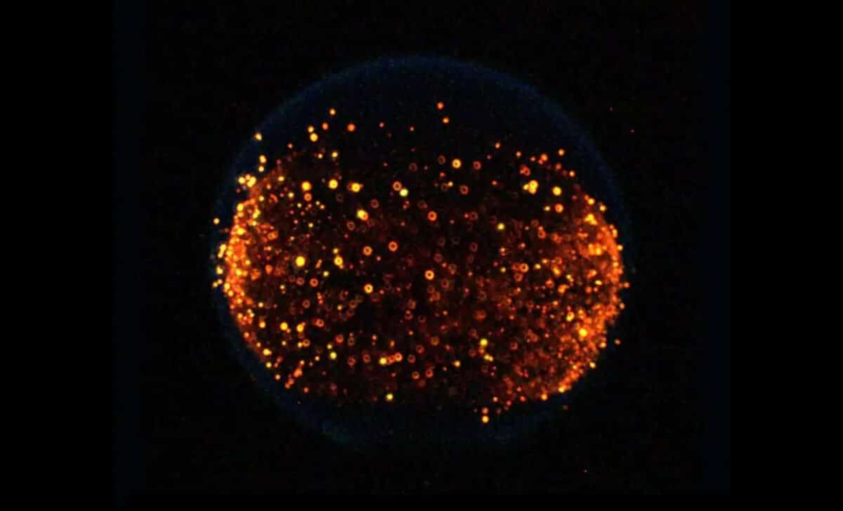 Flame Ignited As Part Of The Flame Design Investigation On The International Space Station