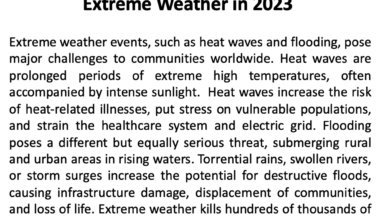 Example message with the key sentence at the end that says “Scientists say climate change made heat waves at least 3 times more likely in 2023.”