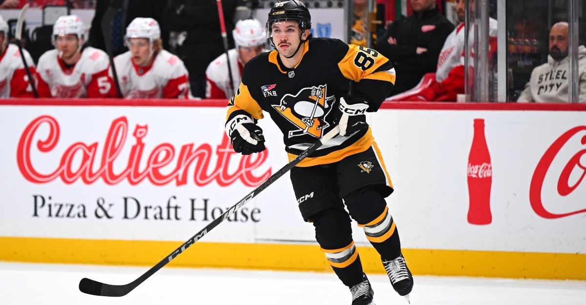 How the top young players in the Penguins’ organization are doing at this point