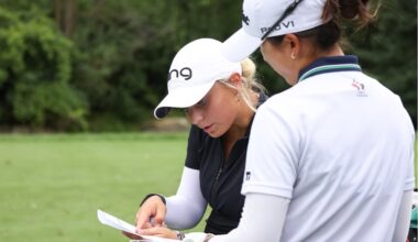 From Scottie Scheffler to 28-handicappers, every golfer operates within a scoring window. We analysed the numbers to find out what yours should look like.