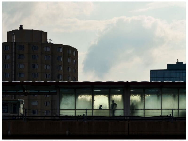 A silhouette of a person and a dog walking inside a glass-covered pedestrian bridge, with tall buildings and a cloudy sky in the background.
