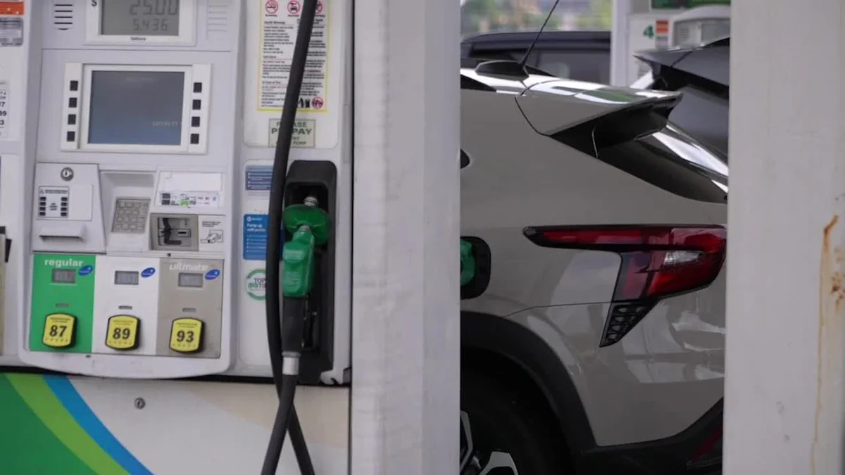 Is the cost of gas changing your summer plans? - Yahoo