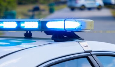 Teen, adult killed in crash in Butler County – WPXI