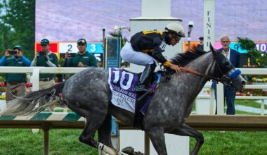 Napoleon Solo holds off Iron Honor by 1 1/4 lengths to win the Preakness at Laurel Park