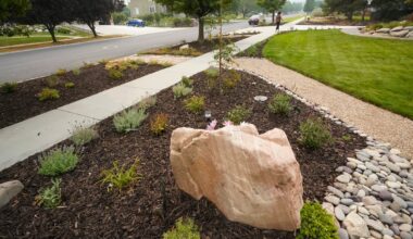 Tips for water-wise landscapes during Utah's drought