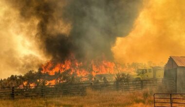 United States Wildland Fire Service Issues Guidance on Designation of U.S. Wildland Fire Service Unit Fire Chiefs and Deputy Unit Fire Chiefs.