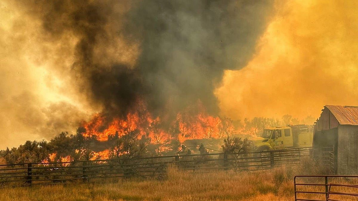 United States Wildland Fire Service Issues Guidance on Designation of U.S. Wildland Fire Service Unit Fire Chiefs and Deputy Unit Fire Chiefs.